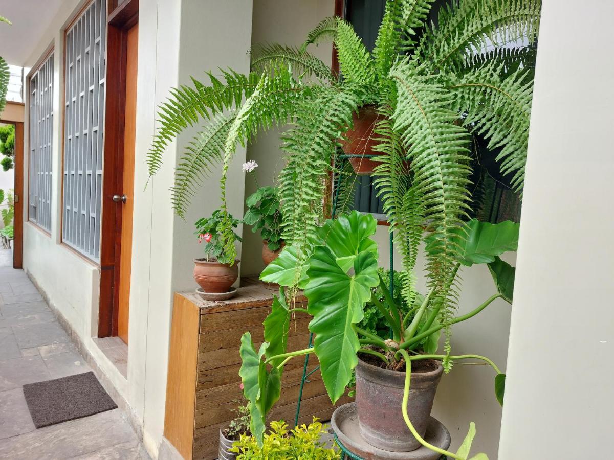 Séjour chez l'habitant Casa Amarello Lima