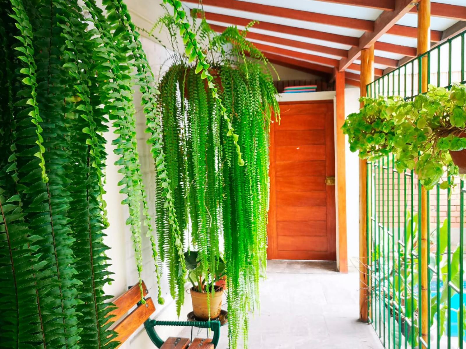Casa Amarello Séjour chez l'habitant Lima
