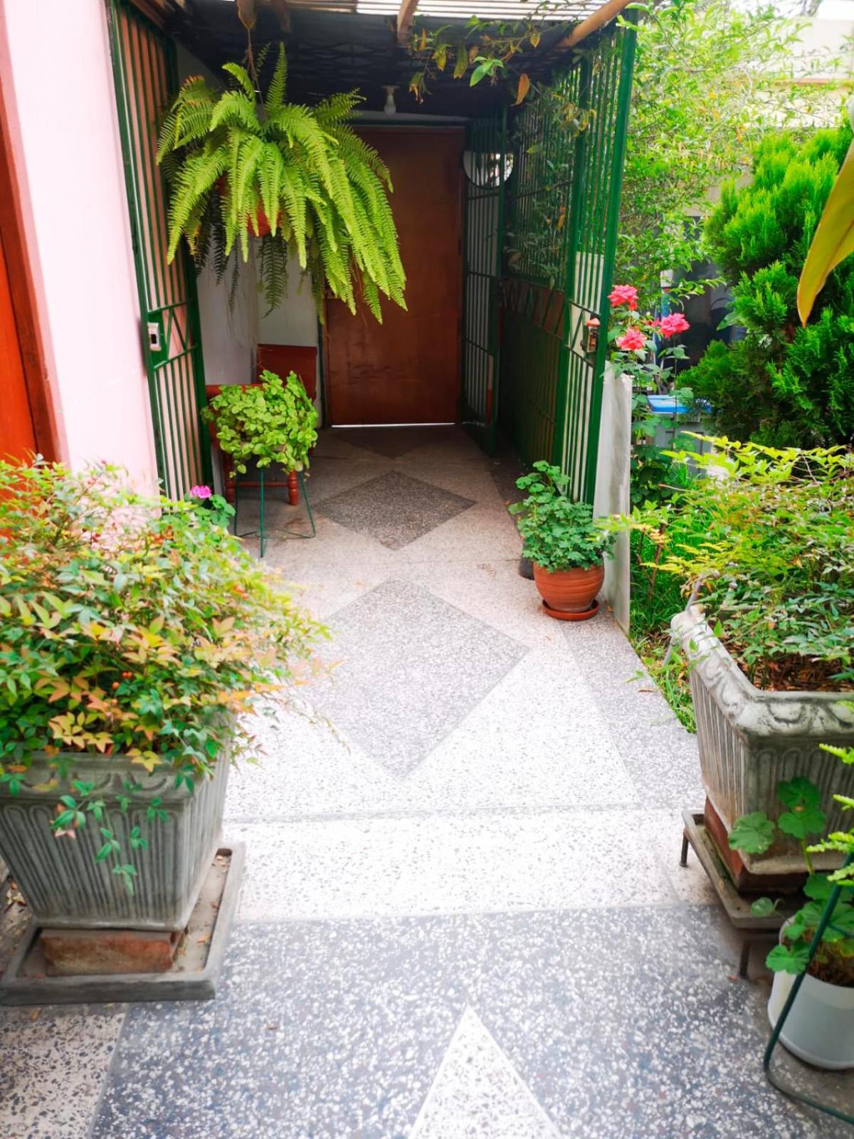 Casa Amarello *